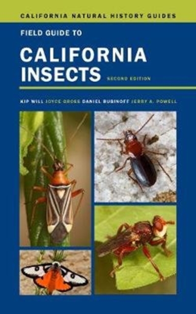 Field Guide to California Insects : Second Edition, Paperback / softback Book