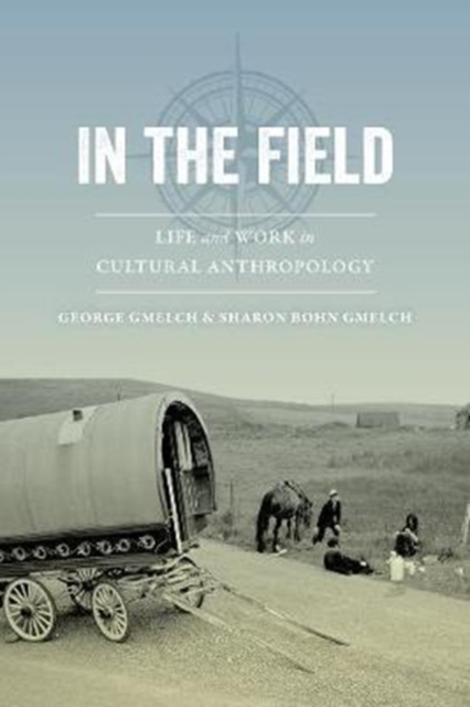 In the Field : Life and Work in Cultural Anthropology, Paperback / softback Book