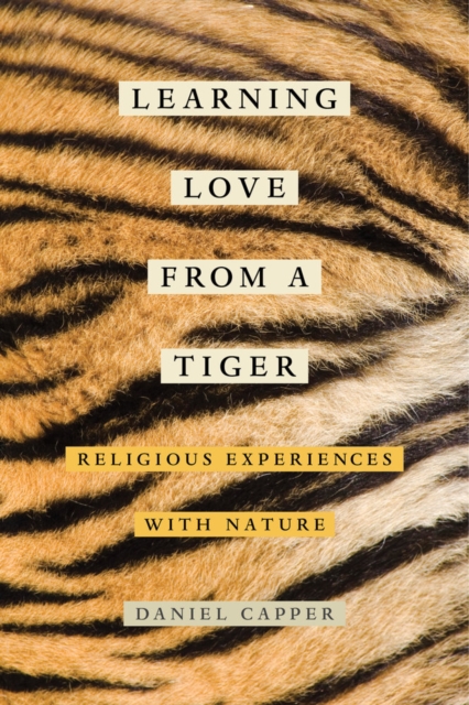 Learning Love from a Tiger : Religious Experiences with Nature, Paperback / softback Book