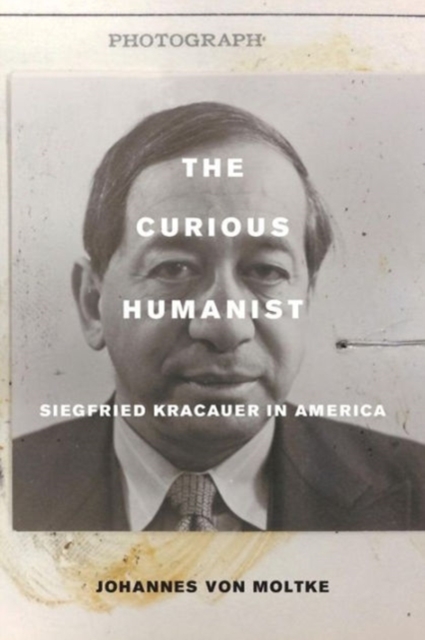 The Curious Humanist : Siegfried Kracauer in America, Paperback / softback Book
