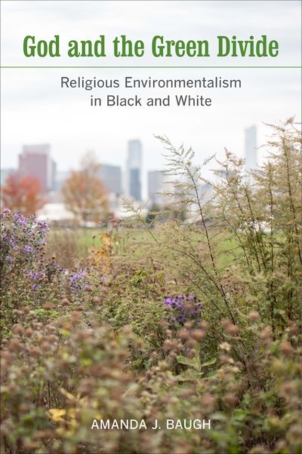 God and the Green Divide : Religious Environmentalism in Black and White, Hardback Book