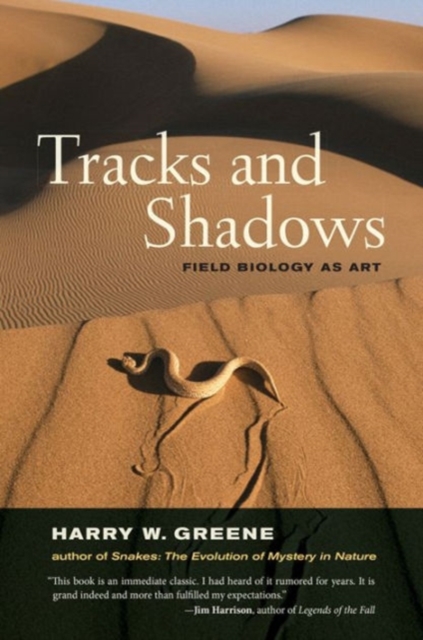 Tracks and Shadows : Field Biology as Art, Paperback / softback Book