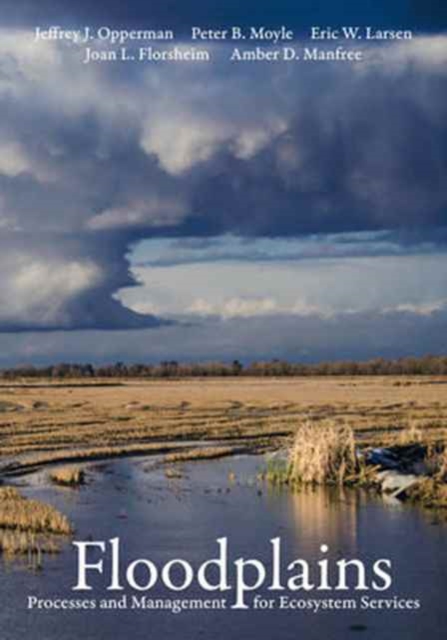 Floodplains : Processes and Management for Ecosystem Services, Paperback / softback Book