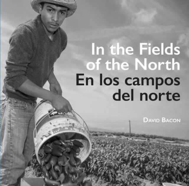 In the Fields of the North / En los campos del norte, Paperback / softback Book
