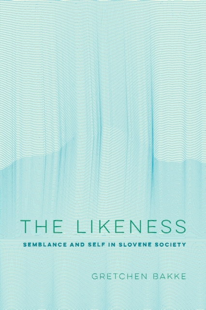 The Likeness : Semblance and Self in Slovene Society, Paperback / softback Book