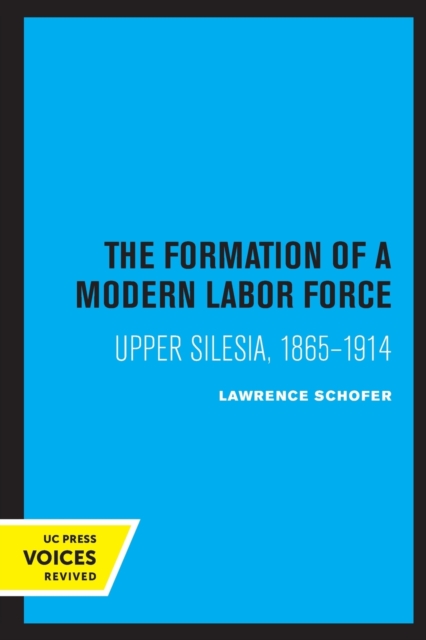 The Formation of a Modern Labor Force : Upper Silesia, 1865-1914, Paperback / softback Book