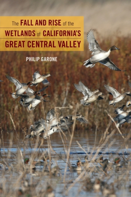 The Fall and Rise of the Wetlands of California's Great Central Valley, Paperback / softback Book