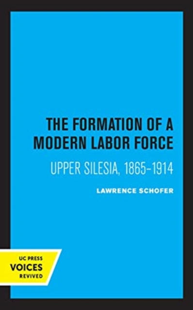 The Formation of a Modern Labor Force : Upper Silesia, 1865-1914, Hardback Book