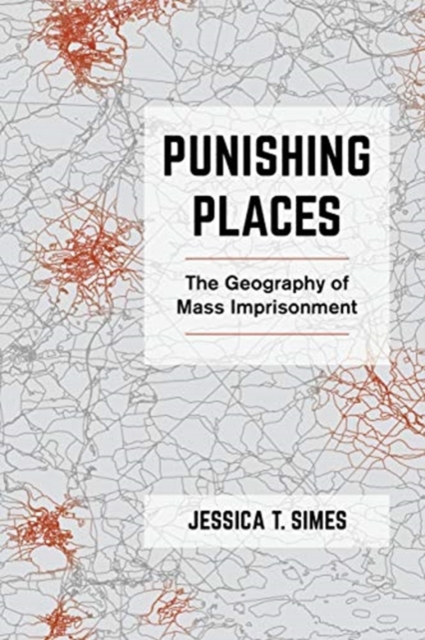 Punishing Places : The Geography of Mass Imprisonment, Hardback Book