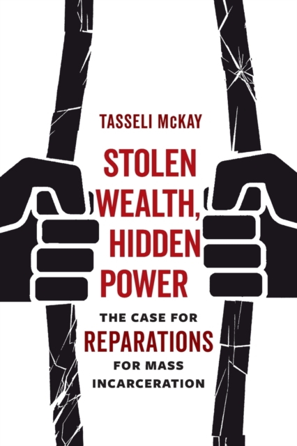 Stolen Wealth, Hidden Power : The Case for Reparations for Mass Incarceration, Paperback / softback Book