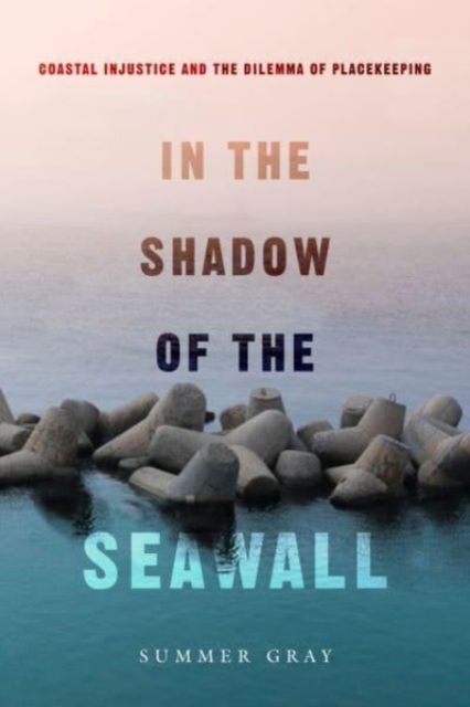 In the Shadow of the Seawall : Coastal Injustice and the Dilemma of Placekeeping, Paperback / softback Book