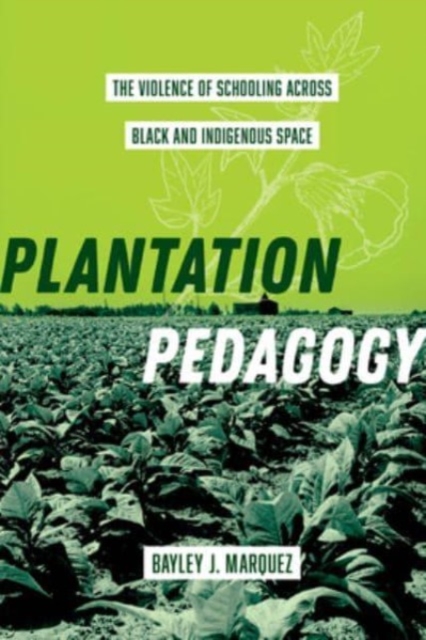 Plantation Pedagogy : The Violence of Schooling across Black and Indigenous Space, Paperback / softback Book