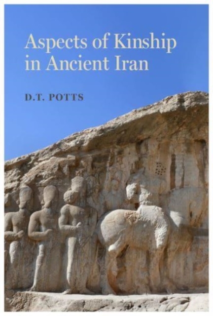 Aspects of Kinship in Ancient Iran, Paperback / softback Book