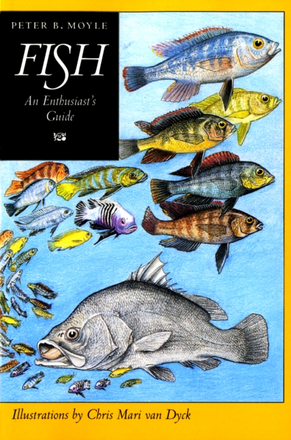 Fish : An Enthusiast's Guide, PDF eBook