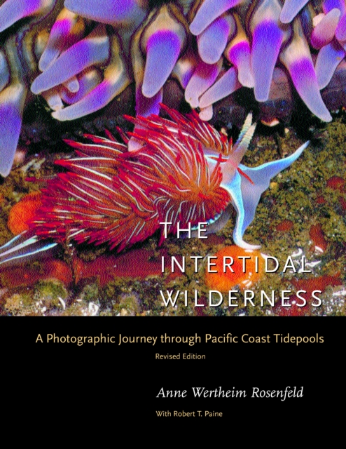 The Intertidal Wilderness : A Photographic Journey through Pacific Coast Tidepools, PDF eBook