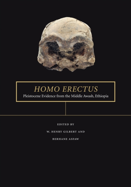 Homo erectus : Pleistocene Evidence from the Middle Awash, Ethiopia, PDF eBook