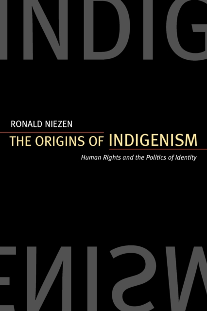 The Origins of Indigenism : Human Rights and the Politics of Identity, PDF eBook