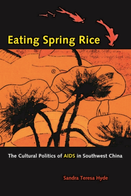 Eating Spring Rice : The Cultural Politics of AIDS in Southwest China, PDF eBook