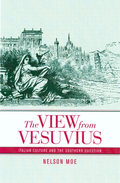 The View from Vesuvius : Italian Culture and the Southern Question, PDF eBook