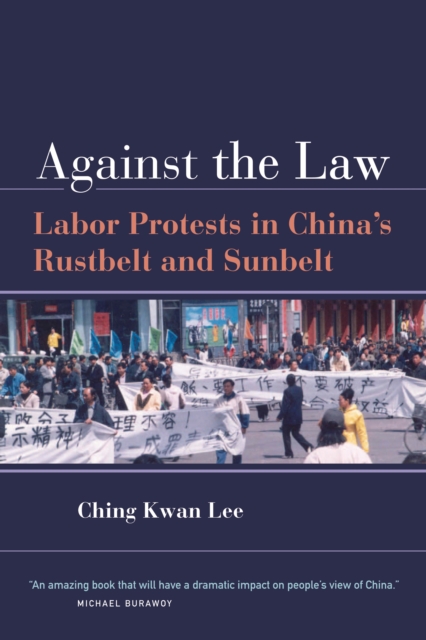 Against the Law : Labor Protests in China's Rustbelt and Sunbelt, PDF eBook