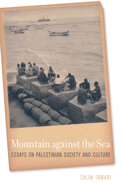 Mountain against the Sea : Essays on Palestinian Society and Culture, PDF eBook