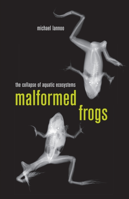 Malformed Frogs : The Collapse of Aquatic Ecosystems, PDF eBook