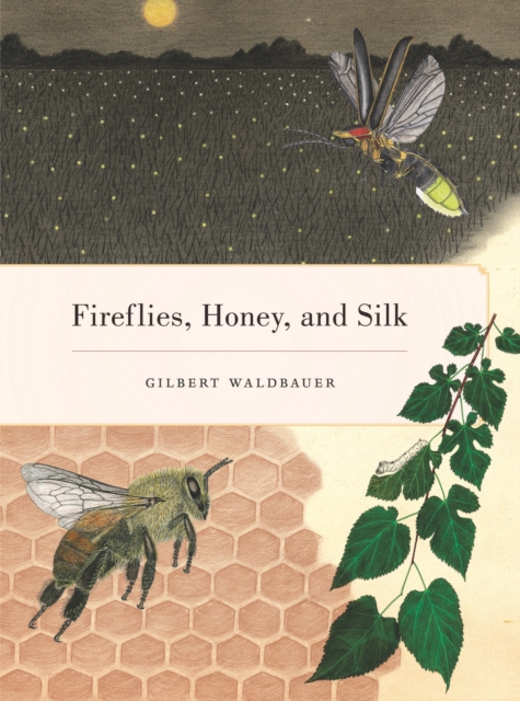 Fireflies, Honey, and Silk, PDF eBook