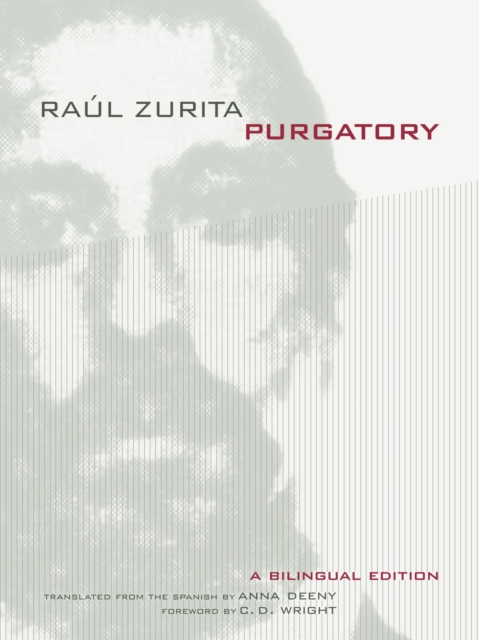 Purgatory : A Bilingual Edition, PDF eBook