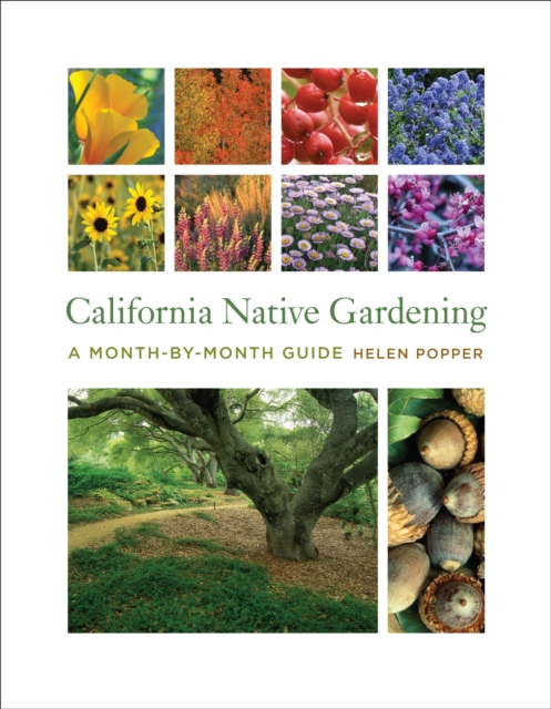 California Native Gardening : A Month-by-Month Guide, PDF eBook