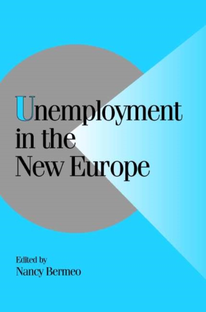 Unemployment in the New Europe, Paperback / softback Book