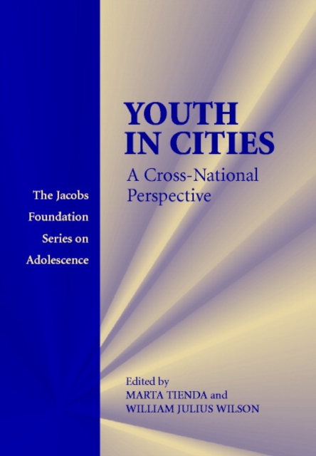 Youth in Cities : A Cross-National Perspective, Paperback / softback Book