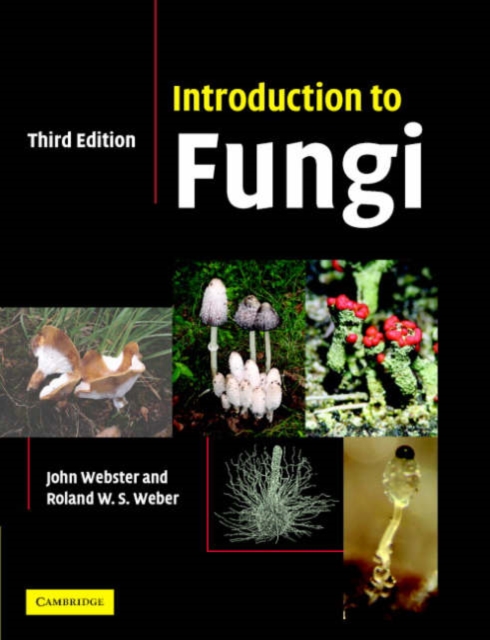 Introduction to Fungi, Paperback / softback Book