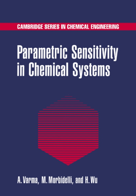 Parametric Sensitivity in Chemical Systems, Paperback / softback Book