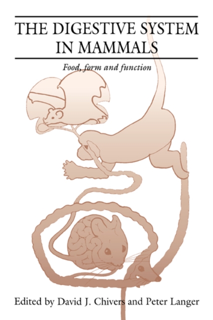 The Digestive System in Mammals : Food Form and Function, Paperback / softback Book