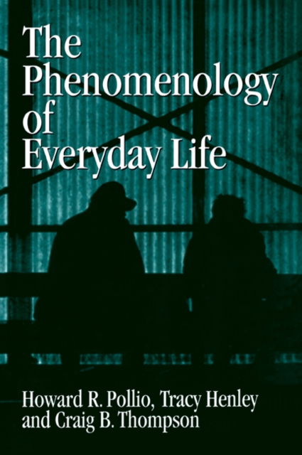 The Phenomenology of Everyday Life : Empirical Investigations of Human Experience, Paperback / softback Book