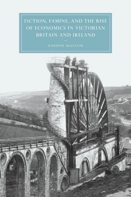 Fiction, Famine, and the Rise of Economics in Victorian Britain and Ireland, Paperback / softback Book