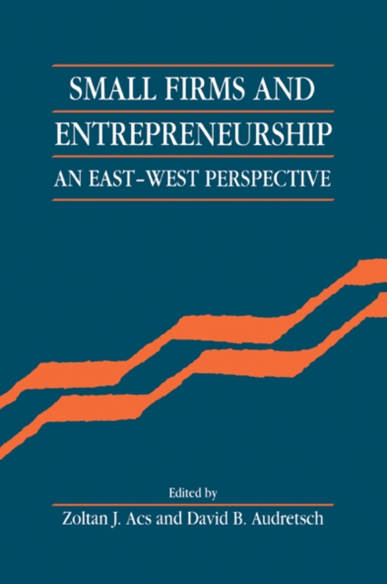 Small Firms and Entrepreneurship : An East-West Perspective, Paperback / softback Book