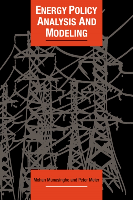 Energy Policy Analysis and Modelling, Paperback / softback Book