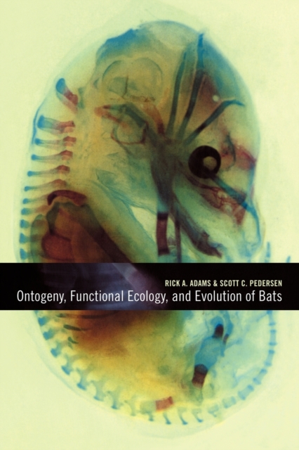 Ontogeny, Functional Ecology, and Evolution of Bats, Paperback / softback Book