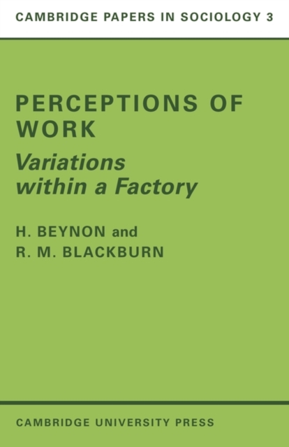 Perceptions of Work : Variations within a Factory, Paperback / softback Book