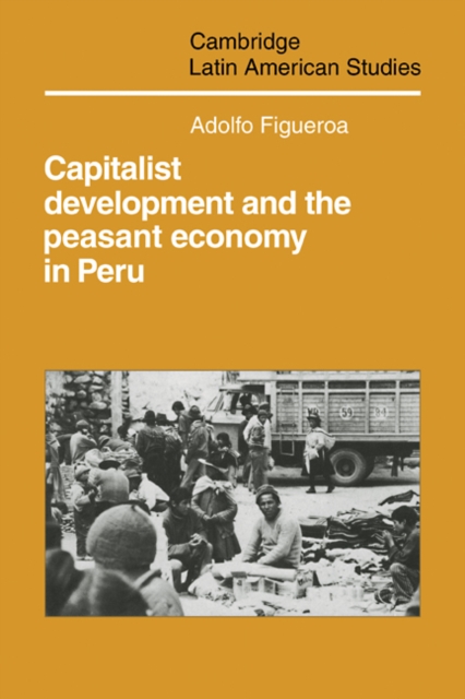 Capitalist Development and the Peasant Economy in Peru, Paperback / softback Book
