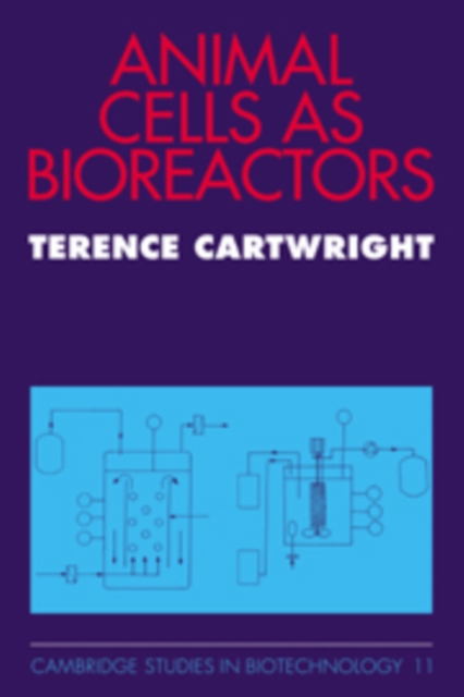 Animal Cells as Bioreactors, Paperback / softback Book