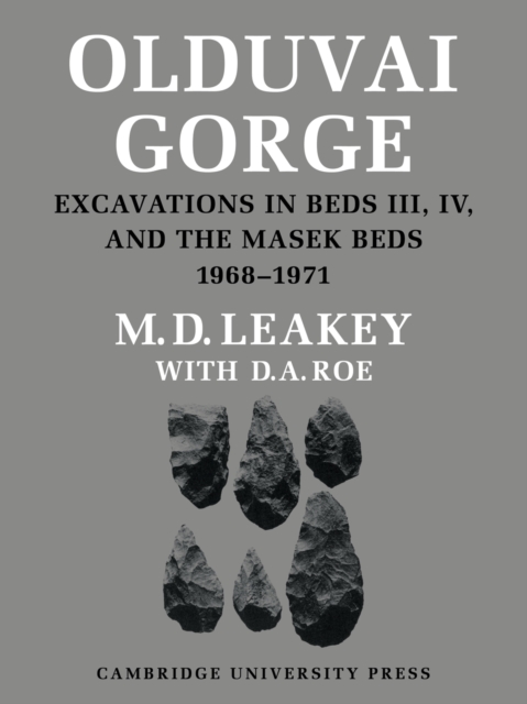 Olduvai Gorge, Paperback / softback Book