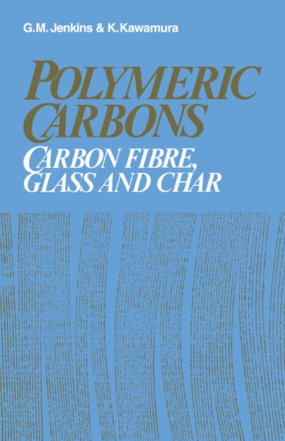 Polymeric Carbons : Carbon Fibre, Glass and Char, Paperback / softback Book