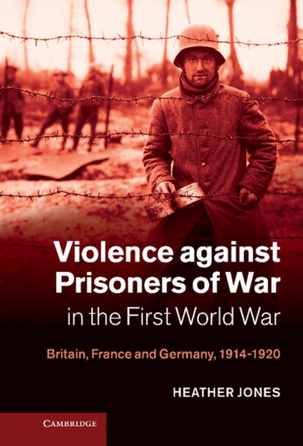 Violence against Prisoners of War in the First World War : Britain, France and Germany, 1914-1920, Hardback Book