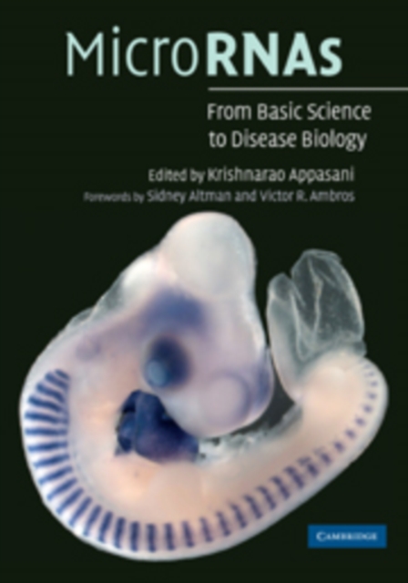 MicroRNAs : From Basic Science to Disease Biology, Paperback / softback Book