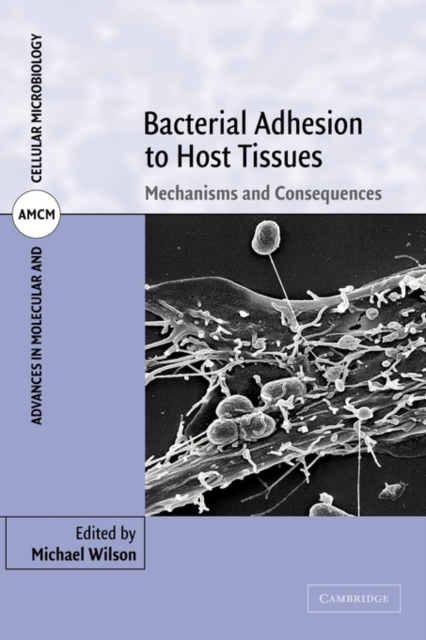 Bacterial Adhesion to Host Tissues : Mechanisms and Consequences, Paperback / softback Book