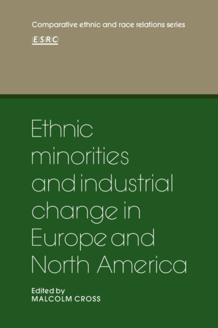 Ethnic Minorities and Industrial Change in Europe and North America, Paperback / softback Book
