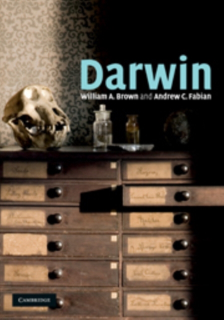 Darwin, Paperback / softback Book