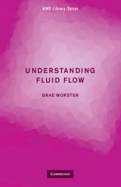 Understanding Fluid Flow, Paperback / softback Book